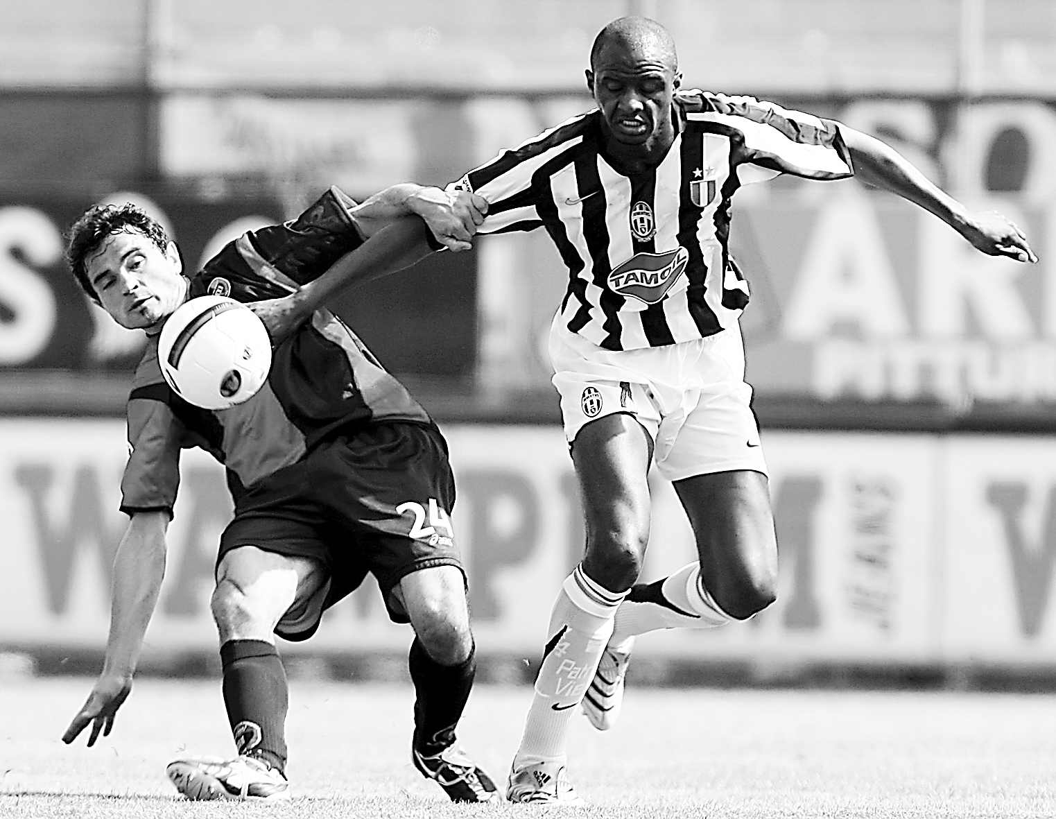 所以能够长 所以能够长