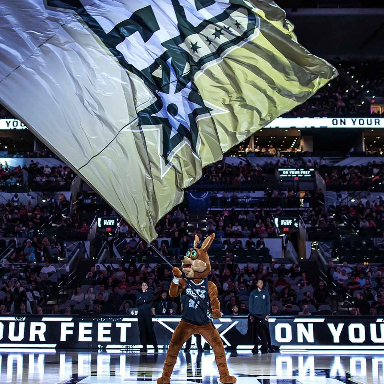 国际比赛日 国际比赛日